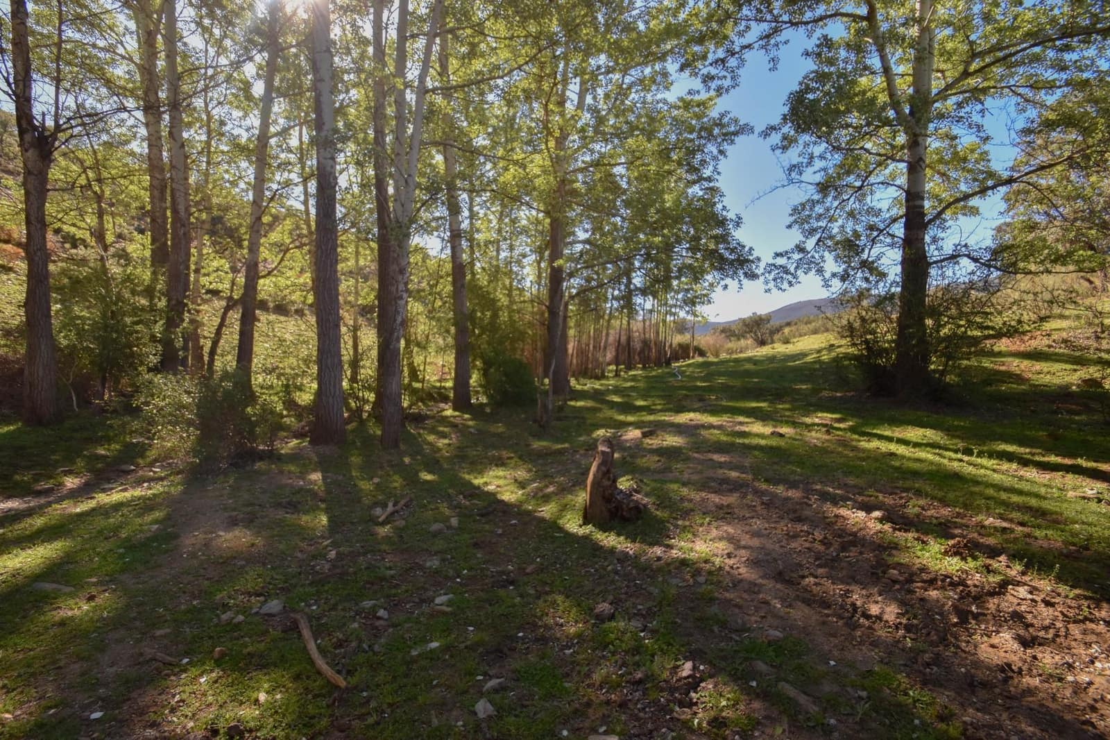 Grunde uden byggetilladelser til salg i Lugros - € 110.000 (Ref: 9020776)