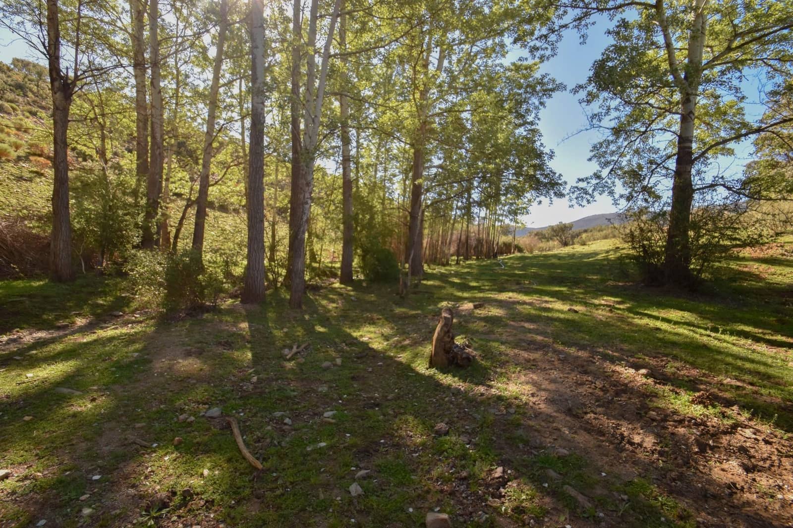 Grunde uden byggetilladelser til salg i Lugros - € 110.000 (Ref: 9020776)