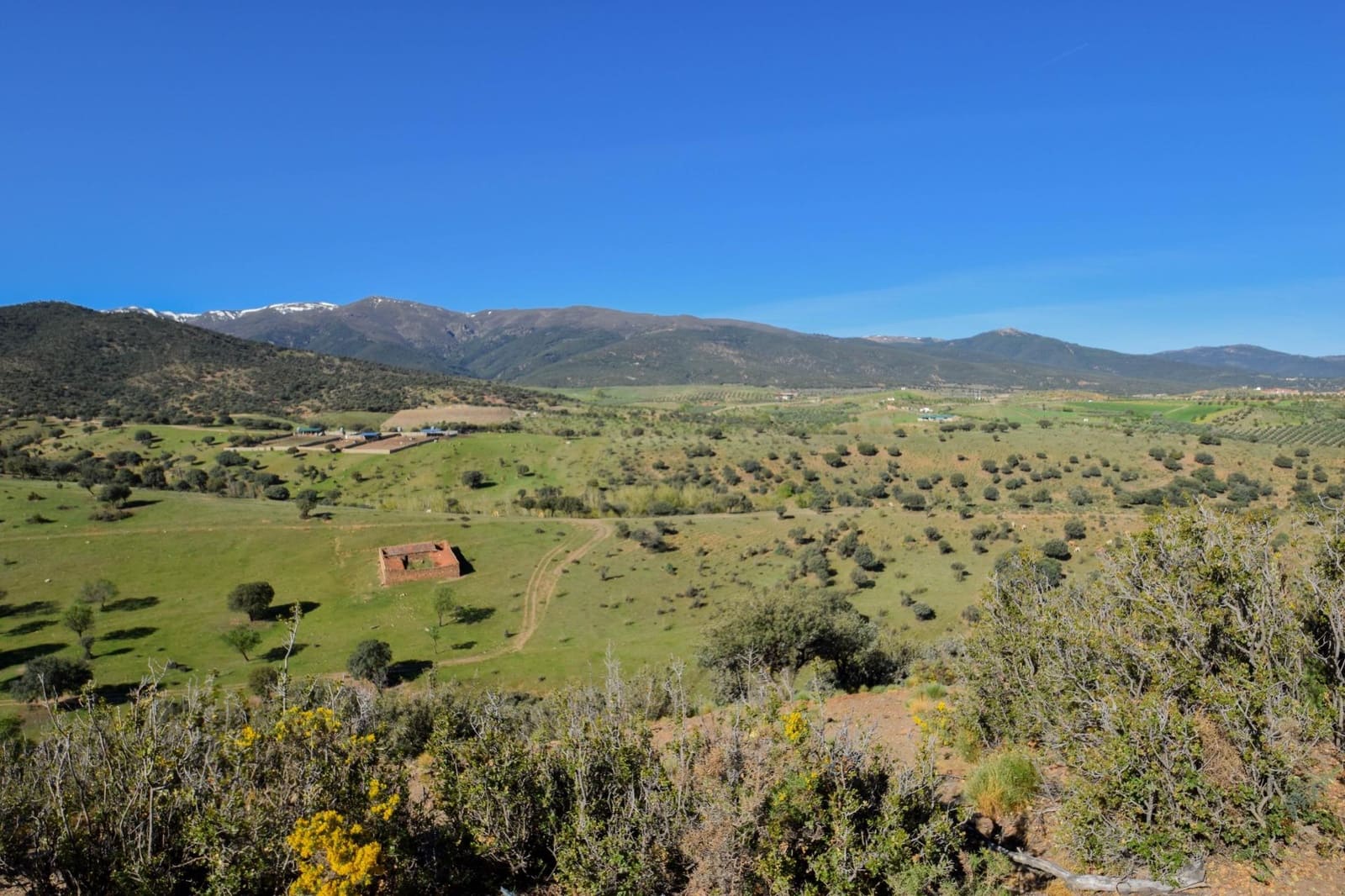 Grunde uden byggetilladelser til salg i Lugros - € 110.000 (Ref: 9020776)