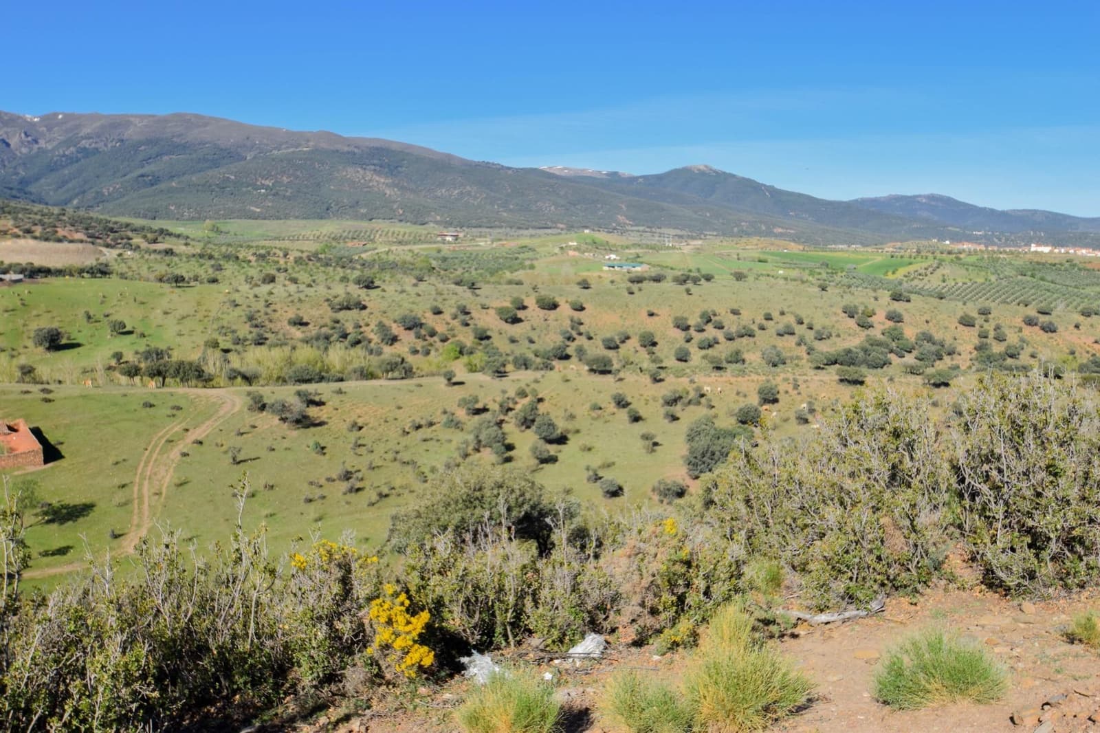 Grunde uden byggetilladelser til salg i Lugros - € 110.000 (Ref: 9020776)