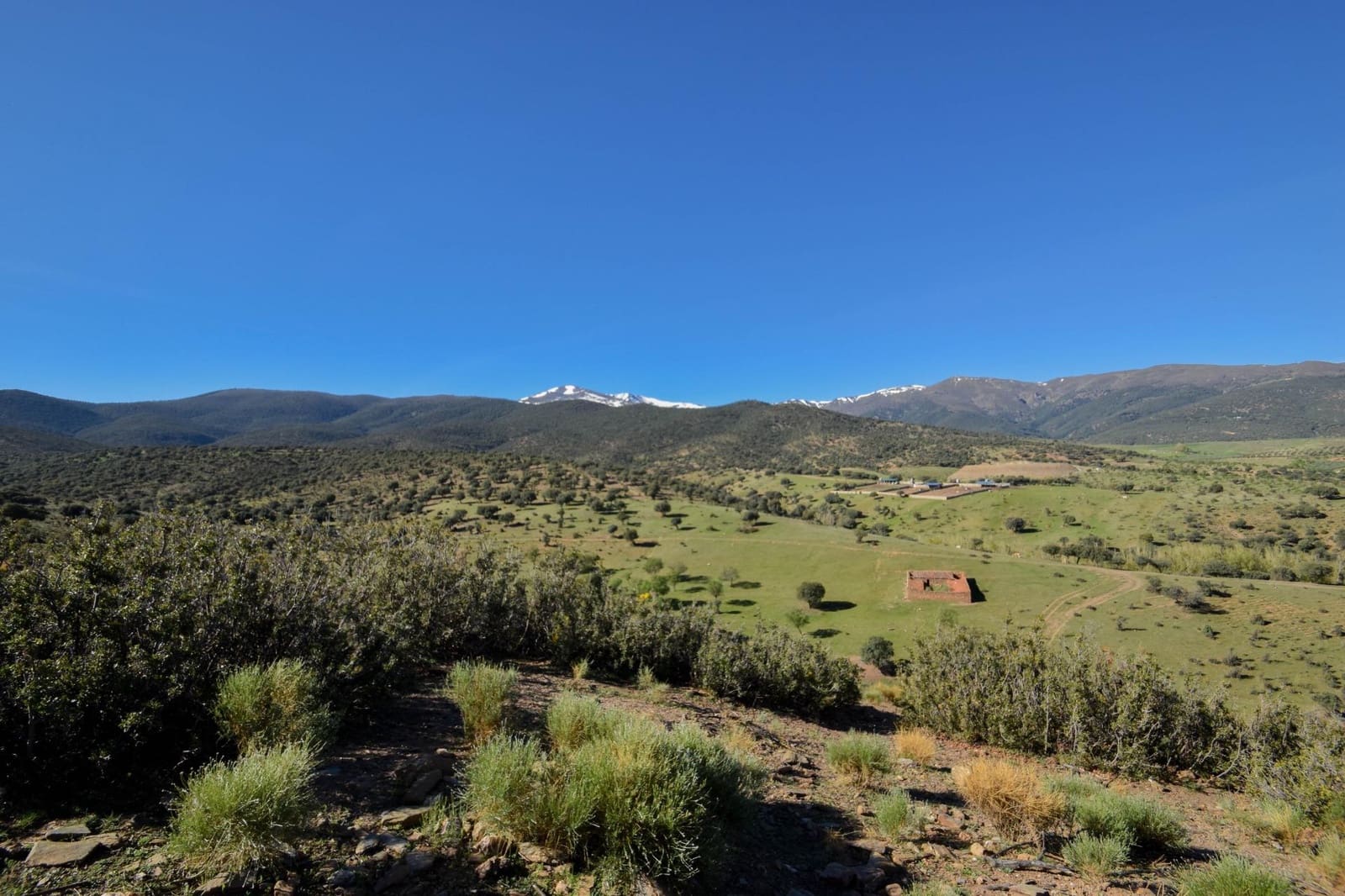 Grunde uden byggetilladelser til salg i Lugros - € 110.000 (Ref: 9020776)