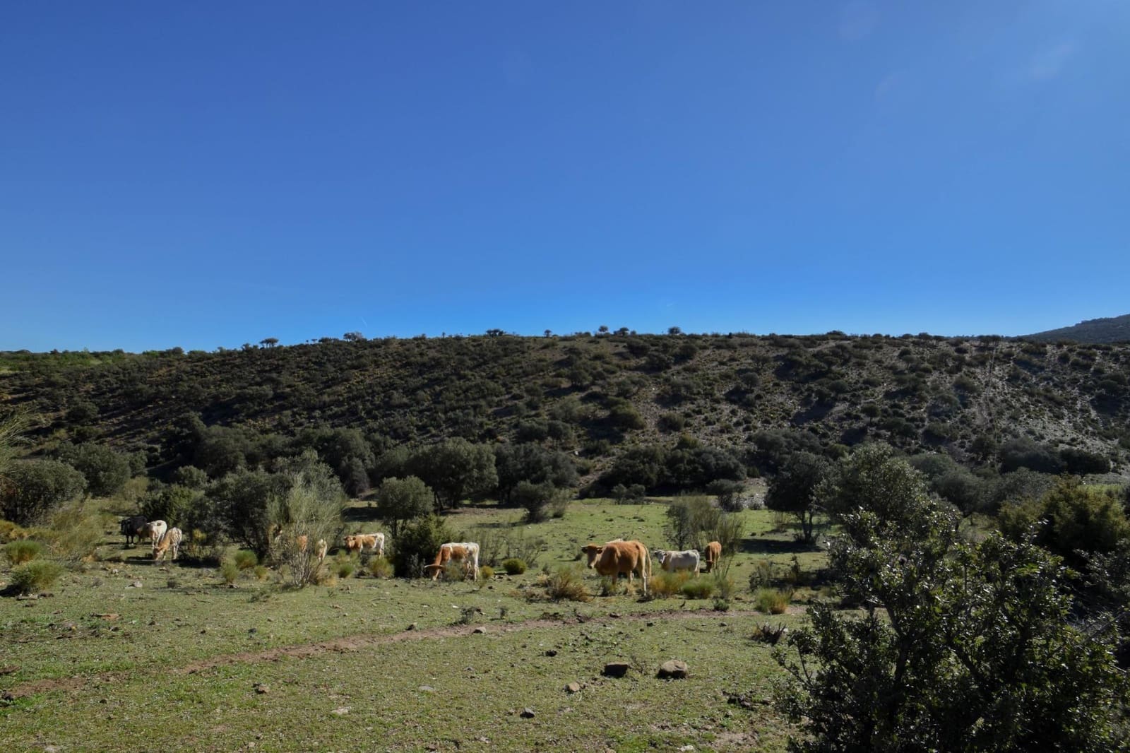 Grunde uden byggetilladelser til salg i Lugros - € 110.000 (Ref: 9020776)