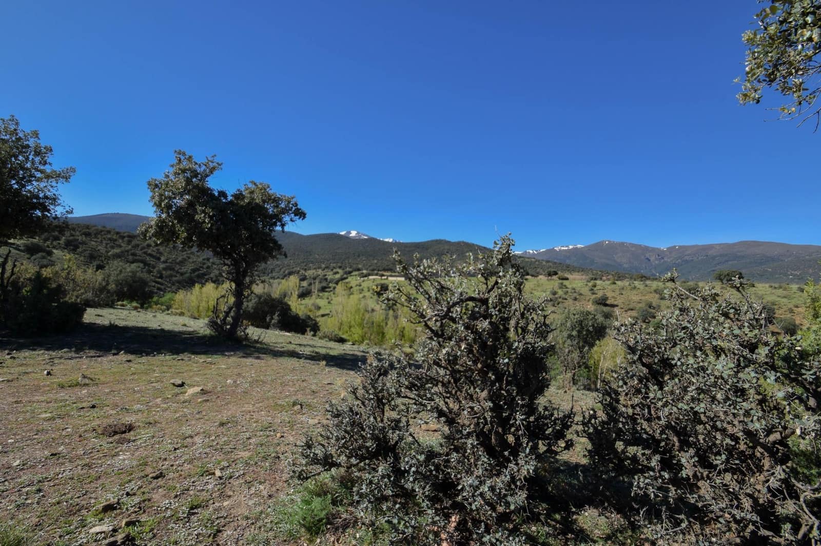 Grunde uden byggetilladelser til salg i Lugros - € 110.000 (Ref: 9020776)