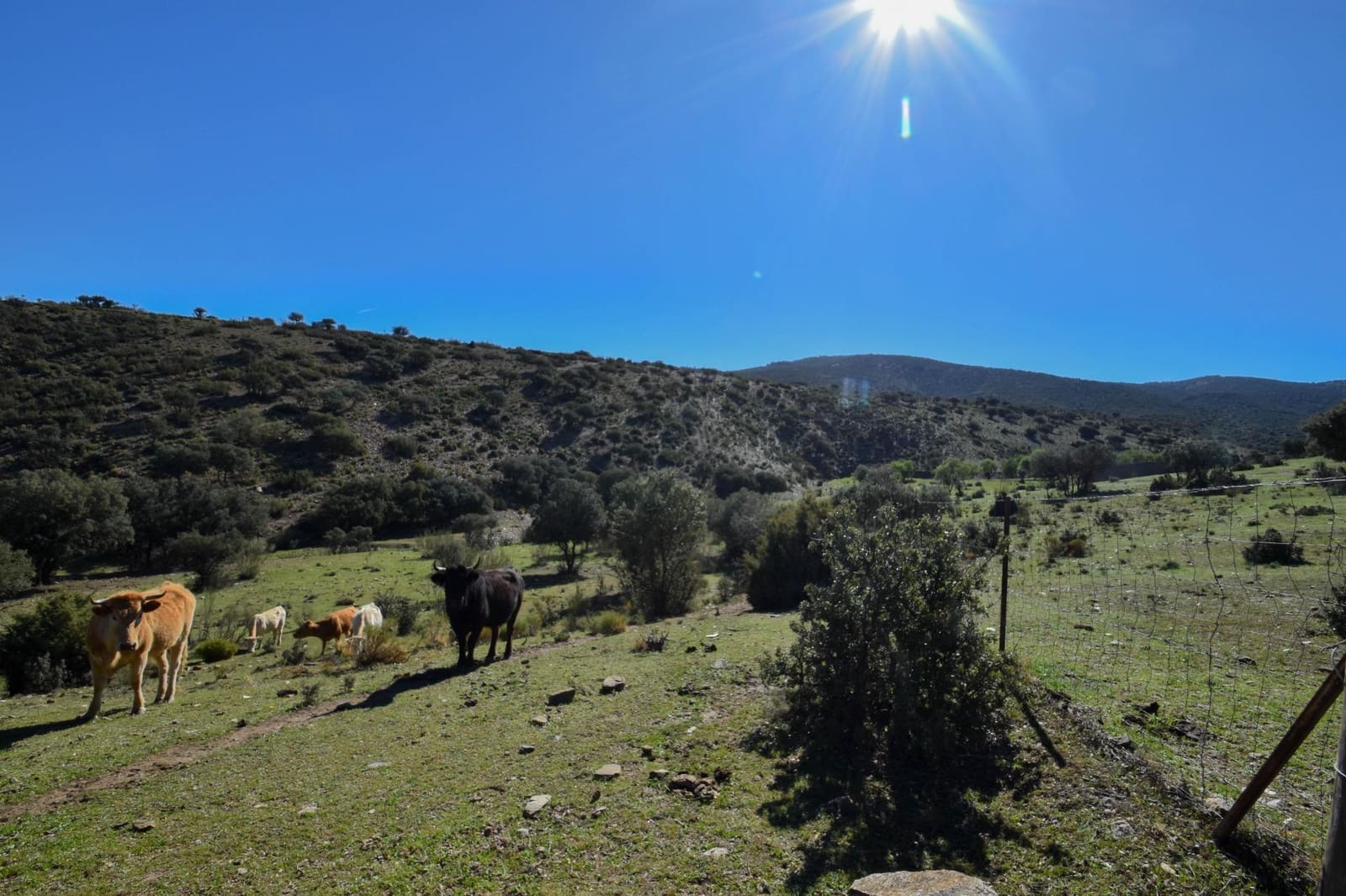 Grunde uden byggetilladelser til salg i Lugros - € 110.000 (Ref: 9020776)