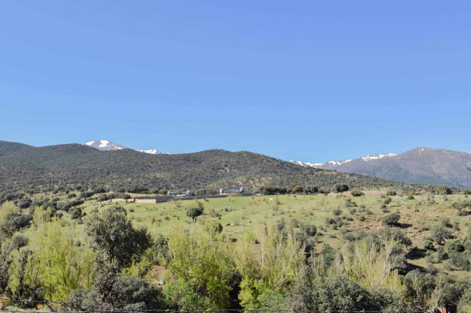 Grunde uden byggetilladelser til salg i Lugros - € 110.000 (Ref: 9020776)