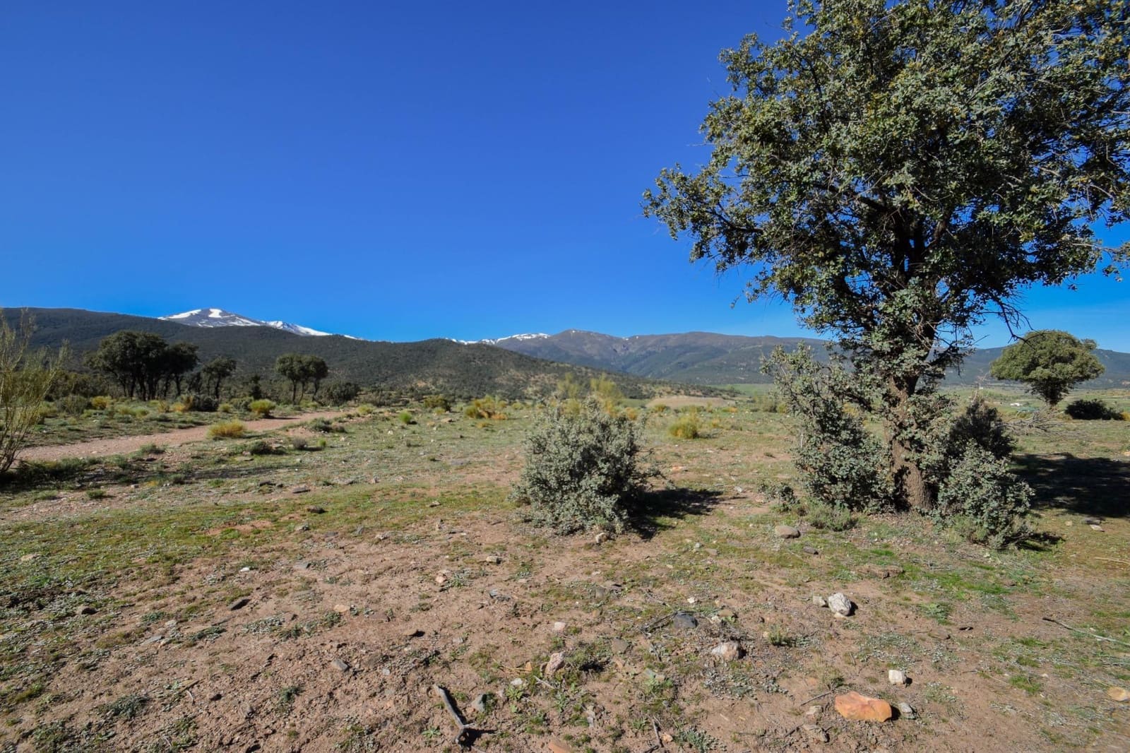 Grunde uden byggetilladelser til salg i Lugros - € 110.000 (Ref: 9020776)