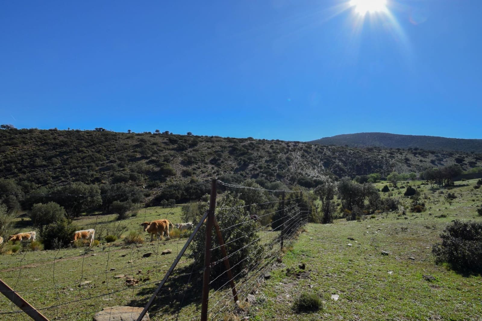 Grunde uden byggetilladelser til salg i Lugros - € 110.000 (Ref: 9020776)