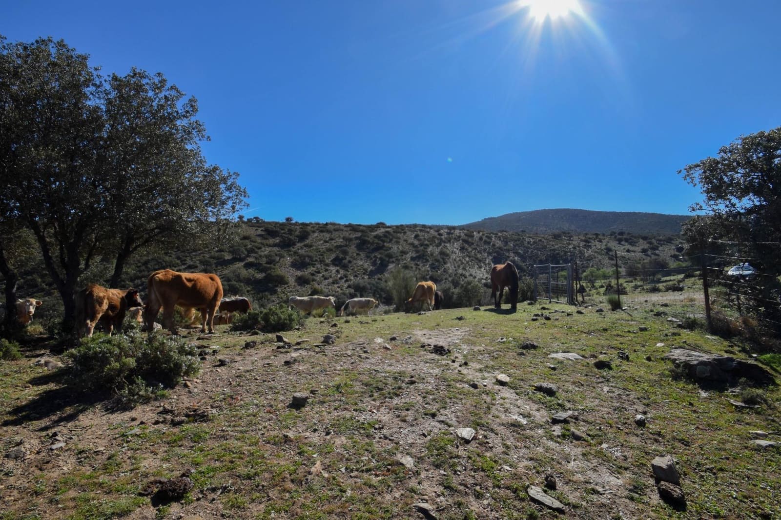 Grunde uden byggetilladelser til salg i Lugros - € 110.000 (Ref: 9020776)