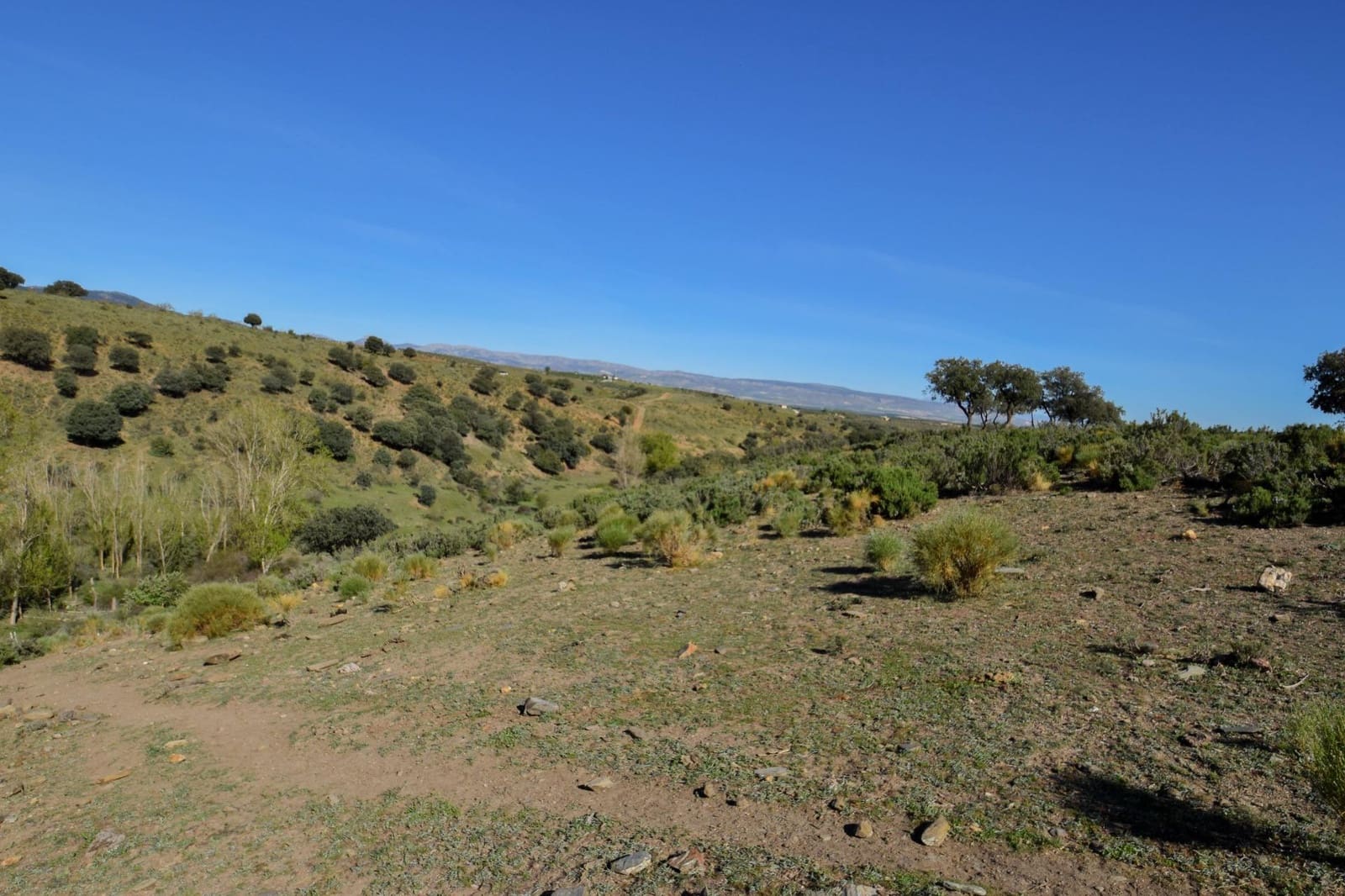 Grunde uden byggetilladelser til salg i Lugros - € 110.000 (Ref: 9020776)