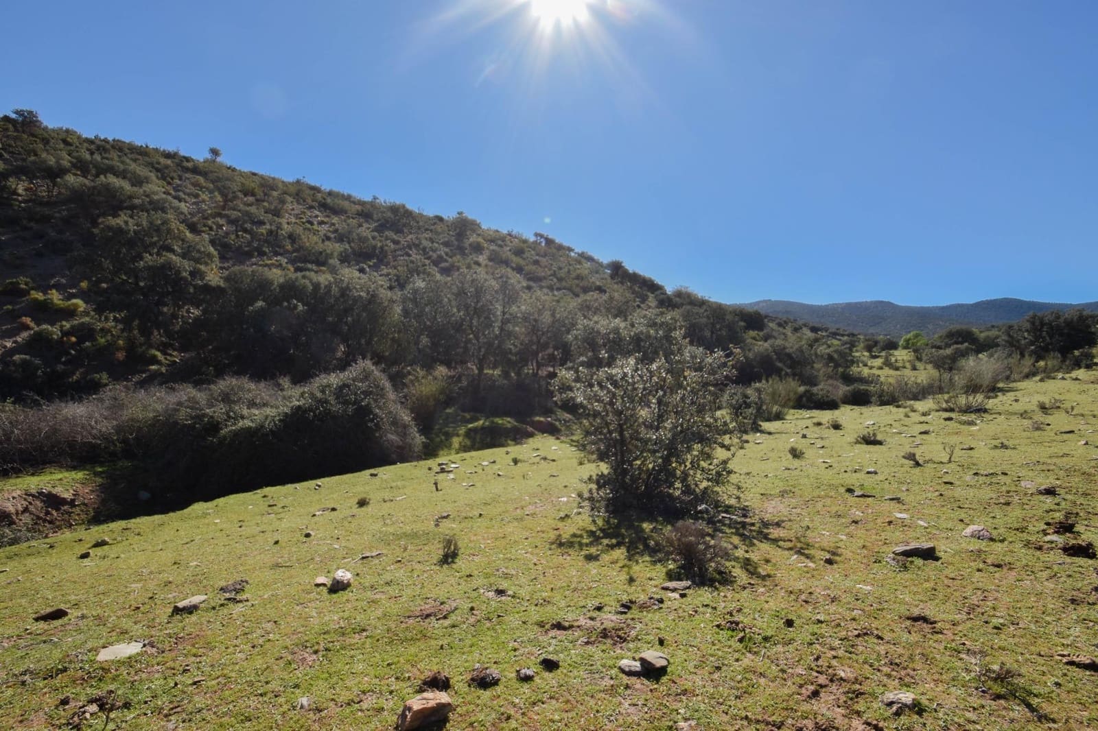 Grunde uden byggetilladelser til salg i Lugros - € 110.000 (Ref: 9020776)