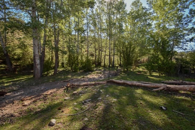 Undeveloped Land for sale in Lugros - € 110,000 (Ref: 9020776)