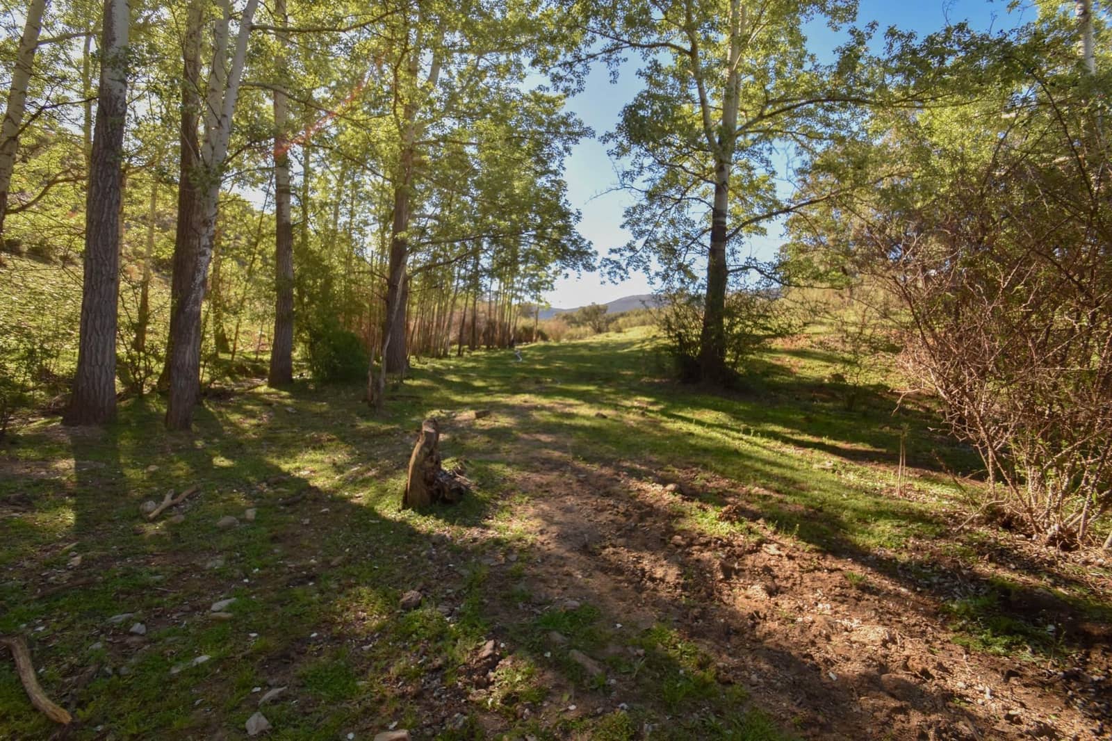 Grunde uden byggetilladelser til salg i Lugros - € 110.000 (Ref: 9020776)