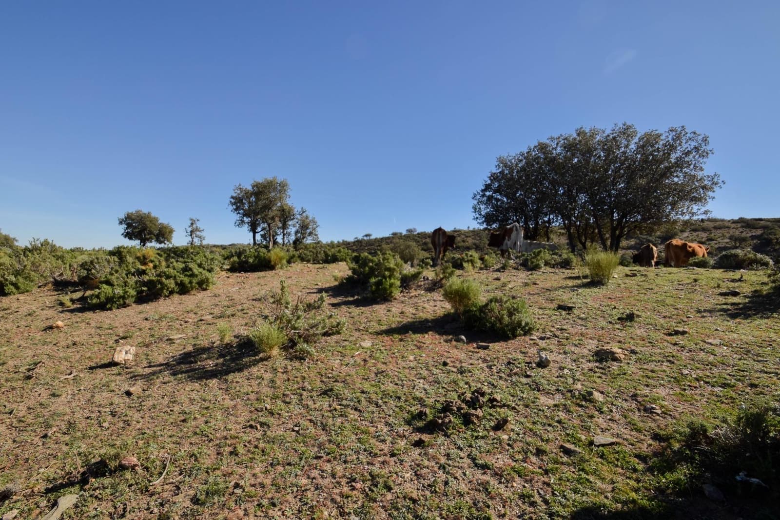 Grunde uden byggetilladelser til salg i Lugros - € 110.000 (Ref: 9020776)