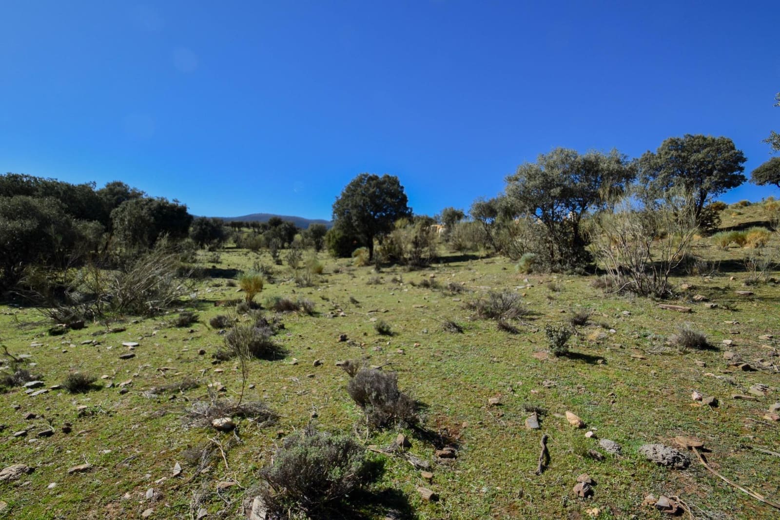 Grunde uden byggetilladelser til salg i Lugros - € 110.000 (Ref: 9020776)