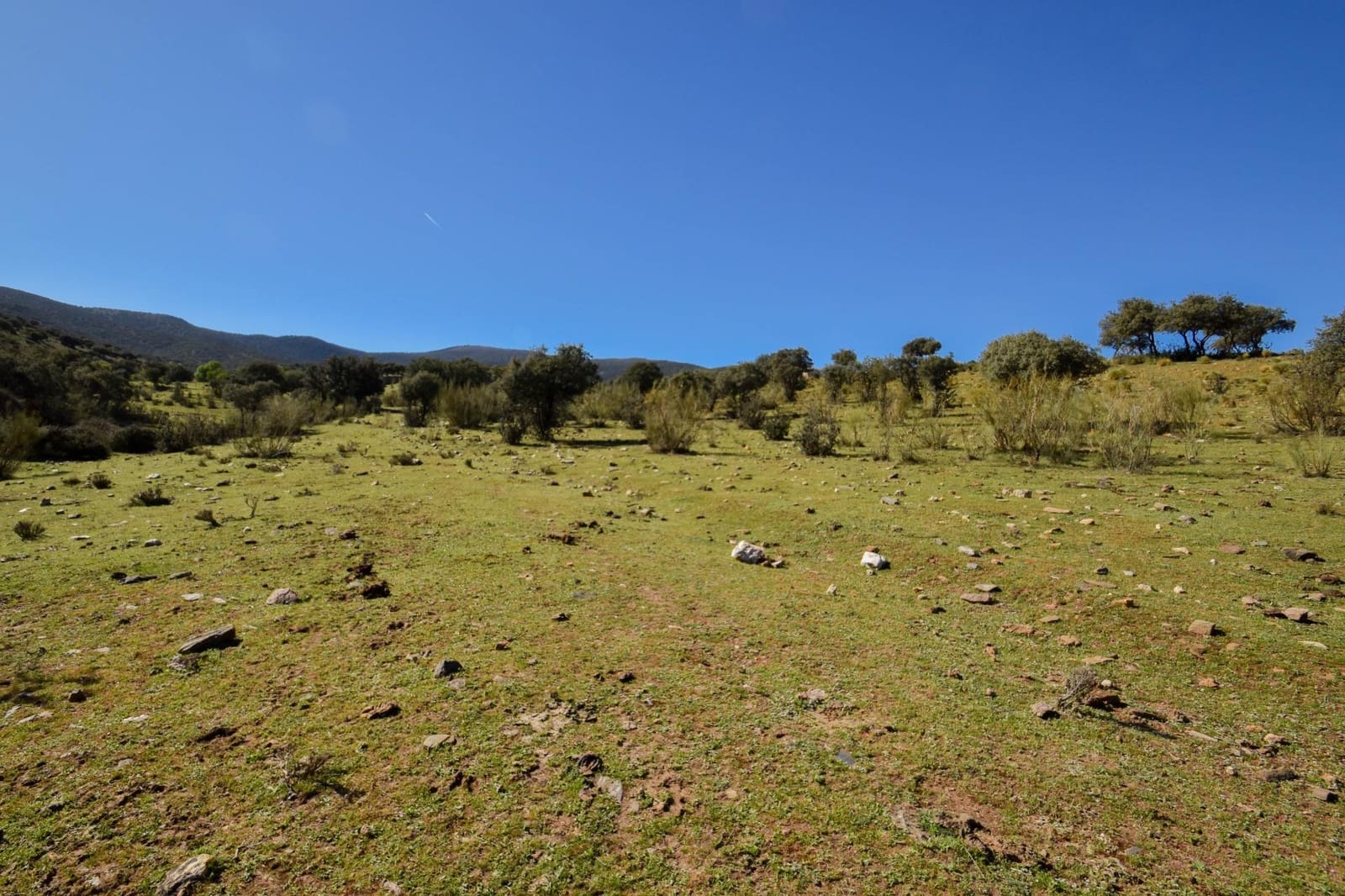 Grunde uden byggetilladelser til salg i Lugros - € 110.000 (Ref: 9020776)