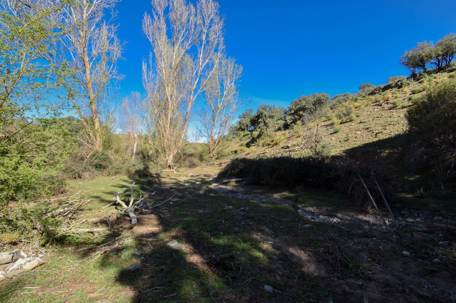 Grunde uden byggetilladelser til salg i Lugros - € 110.000 (Ref: 9020776)