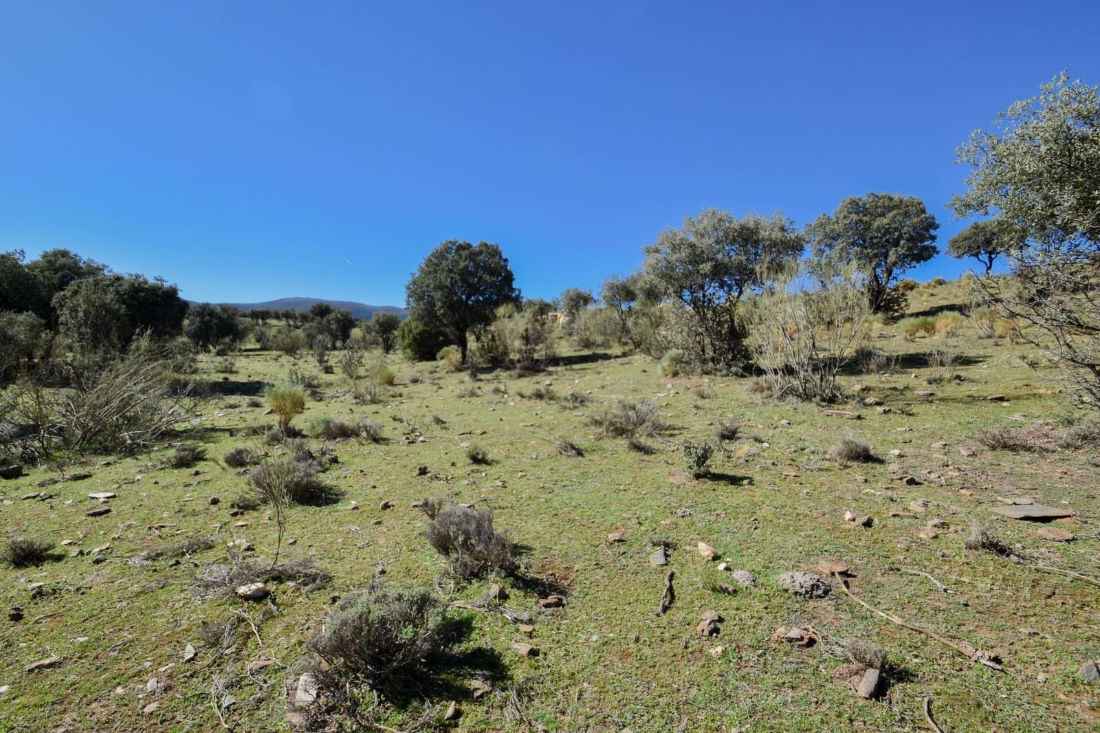 Grunde uden byggetilladelser til salg i Lugros - € 110.000 (Ref: 9020776)