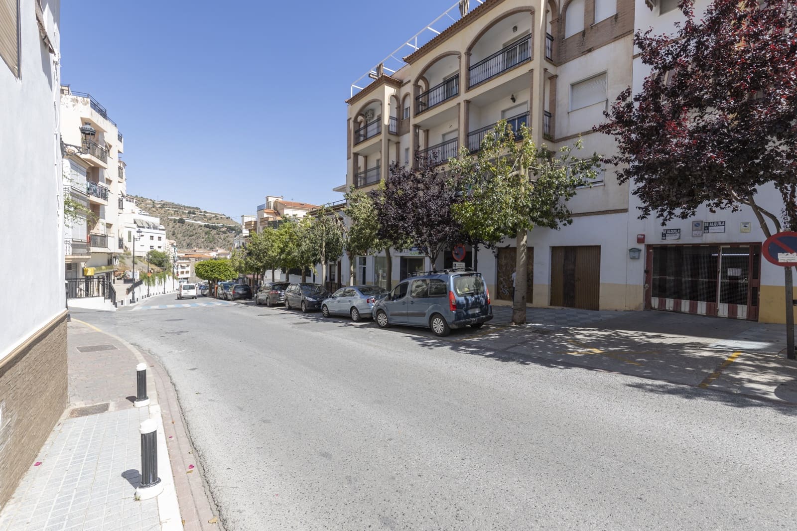 Erhverv til salg i Albunol - € 150.000 (Ref: 9024197)