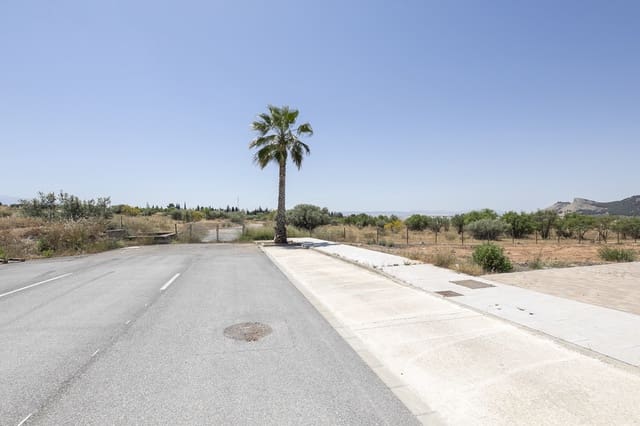 Tontti myytävänä paikassa Albolote - 28 650 € (Ref: 9033204)