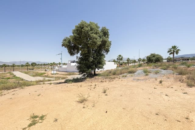 Tontti myytävänä paikassa Albolote - 89 640 € (Ref: 9033205)