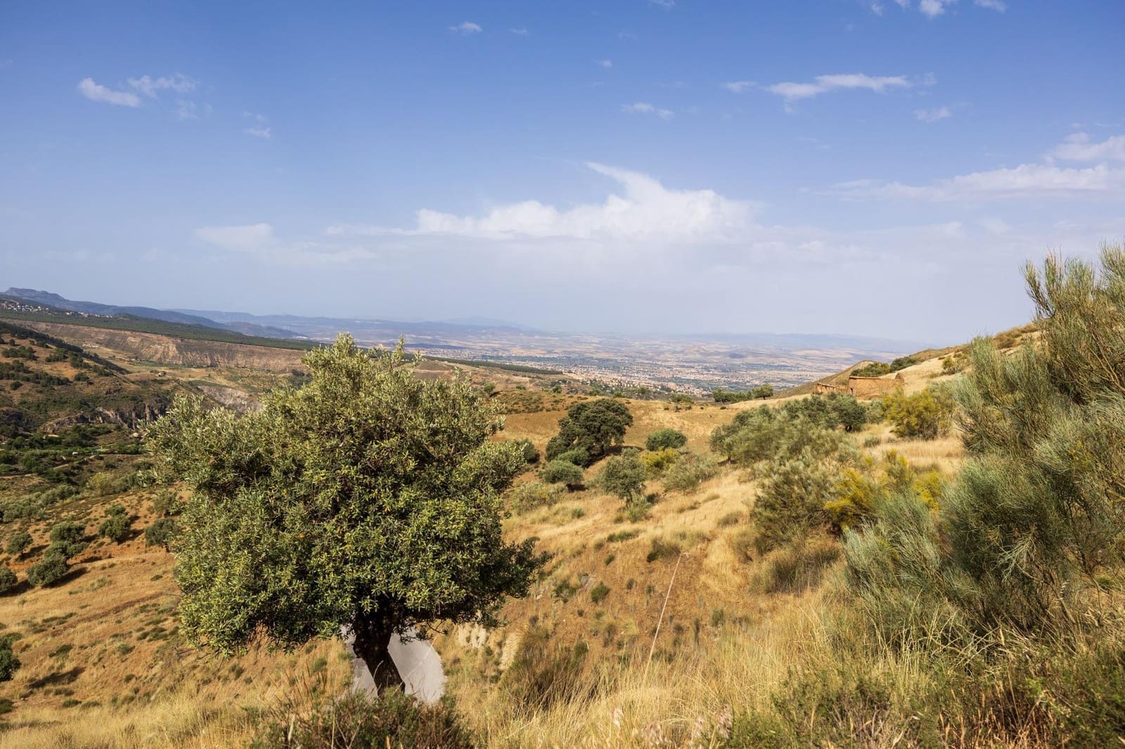 Grond te koop in Monachil - € 350.000 (Ref: 9085472)