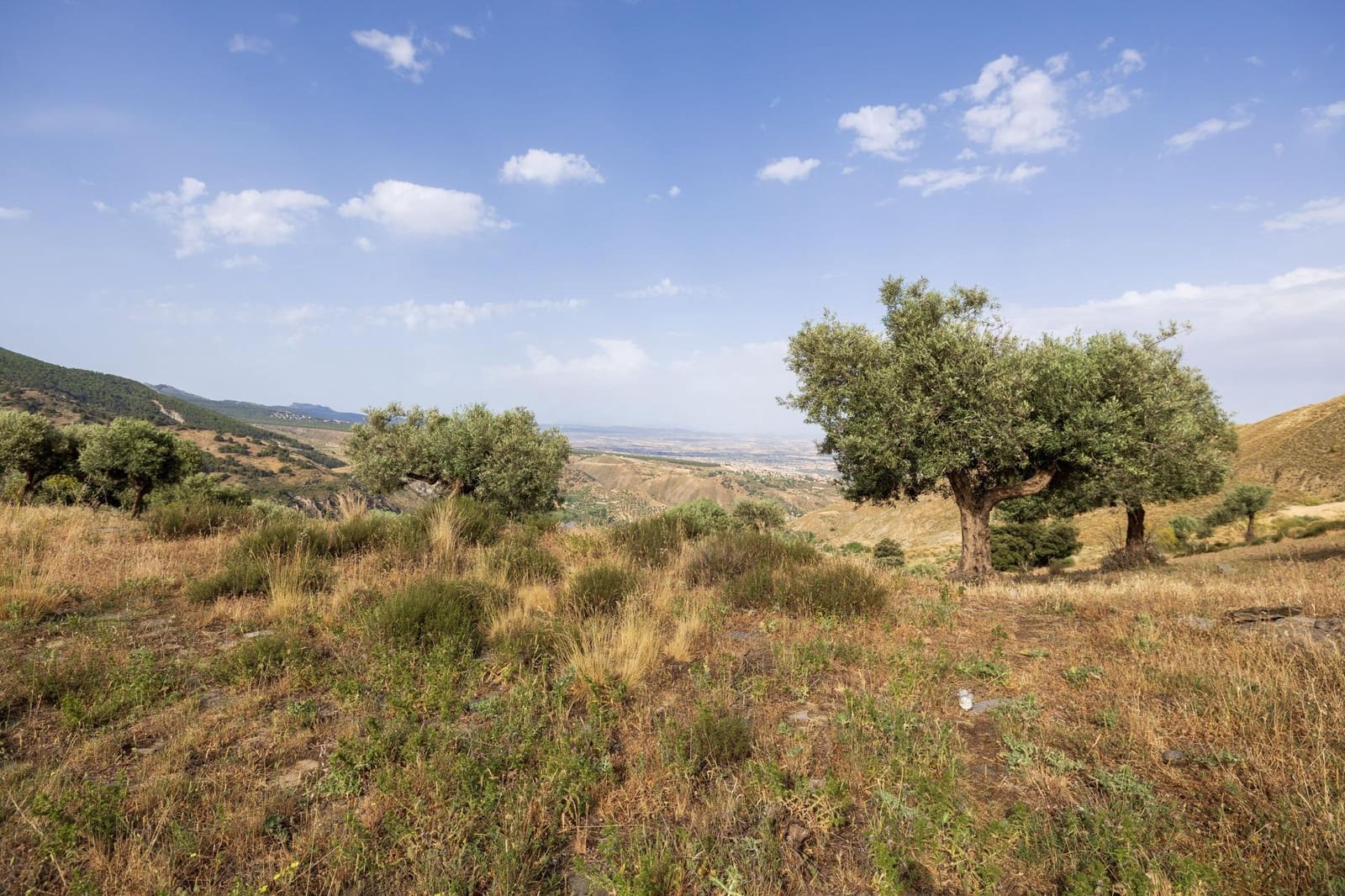 Grond te koop in Monachil - € 350.000 (Ref: 9085472)