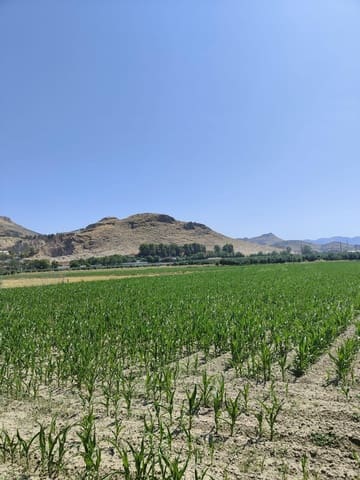 Grunde uden byggetilladelser til salg i Atarfe - € 95.000 (Ref: 9110531)