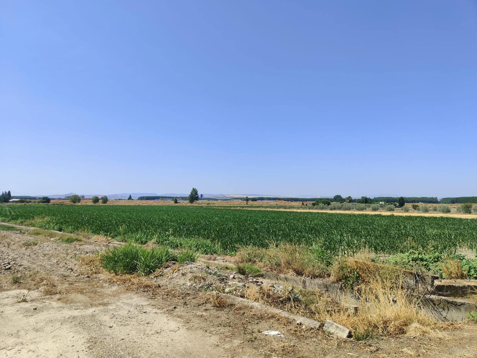 Grunde uden byggetilladelser til salg i Atarfe - € 95.000 (Ref: 9110531)