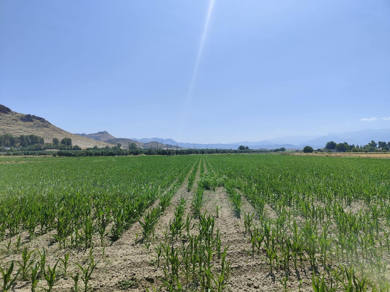 Grunde uden byggetilladelser til salg i Atarfe - € 95.000 (Ref: 9110531)