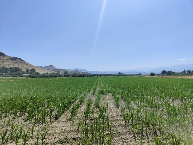 Grunde uden byggetilladelser til salg i Atarfe - € 95.000 (Ref: 9110531)