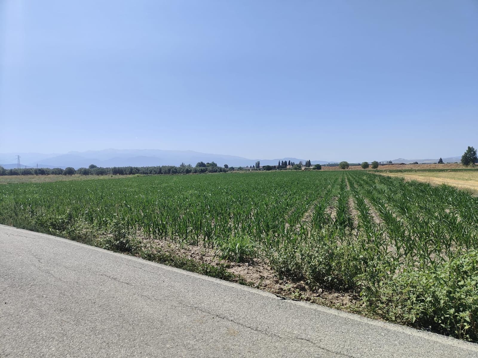 Grunde uden byggetilladelser til salg i Atarfe - € 95.000 (Ref: 9110531)