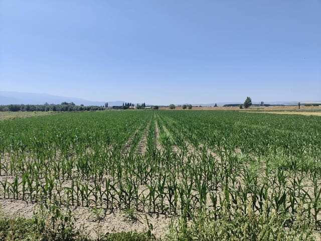 Grunde uden byggetilladelser til salg i Atarfe - € 95.000 (Ref: 9110531)