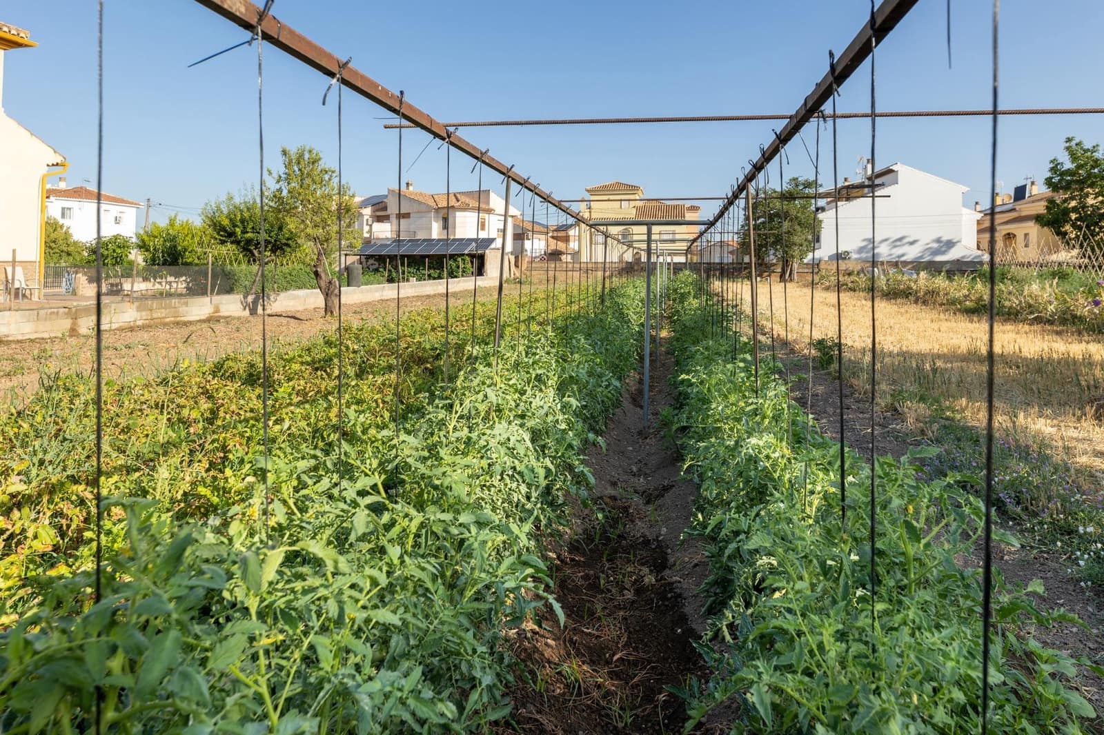 Byggetomt til salgs i La Zubia - € 240 000 (Ref: 9118917)