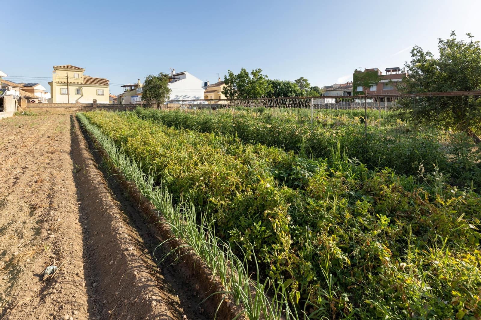 Byggetomt til salgs i La Zubia - € 240 000 (Ref: 9118917)