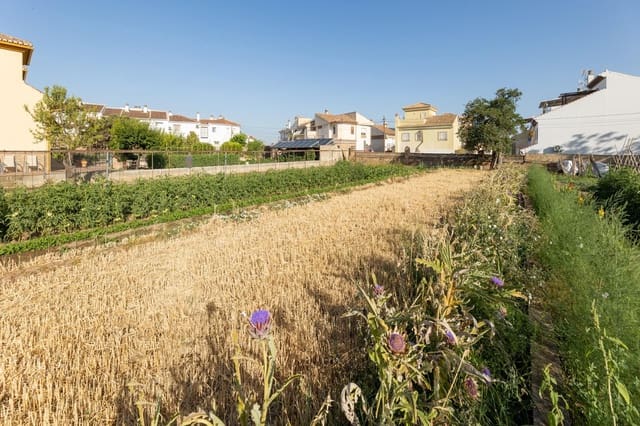 Byggetomt til salgs i La Zubia - € 240 000 (Ref: 9118917)