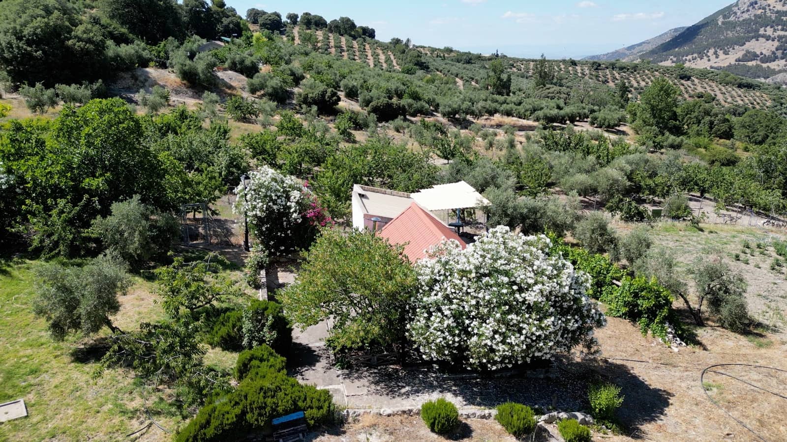 10 camera da letto Hotel in vendita in Torres con piscina - 580.000 € (Rif: 9126886)