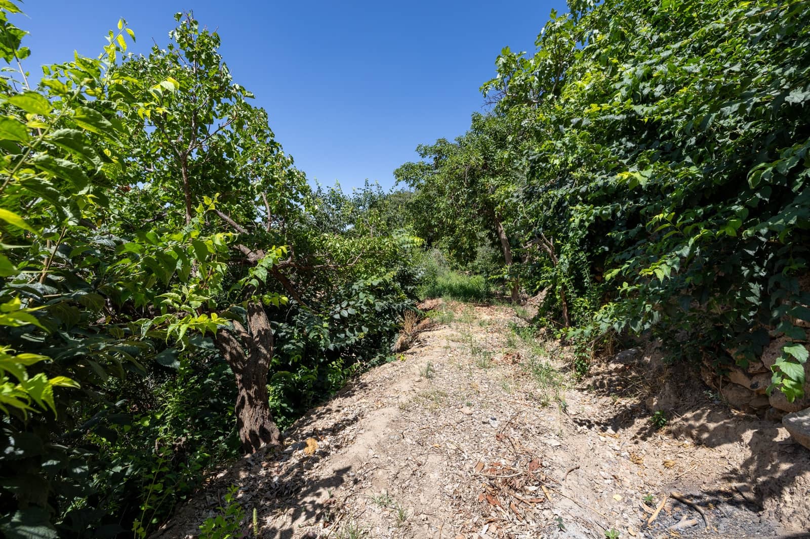 2 soveværelse Finca/Landehus til salg i Lanjaron - € 87.000 (Ref: 9129923)