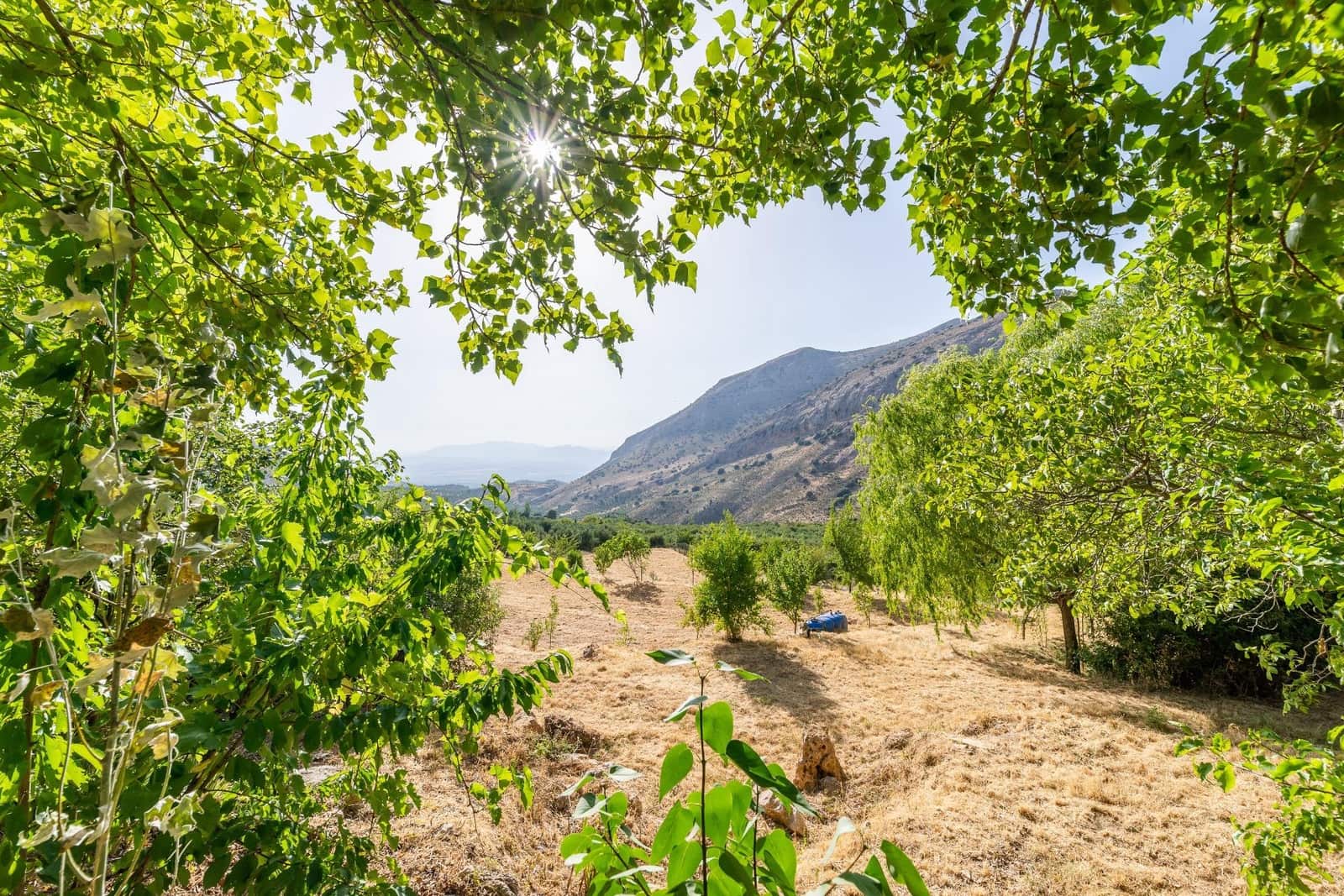 3 soveværelse Finca/Landehus til salg i Cogollos Vega - € 205.000 (Ref: 9161211)