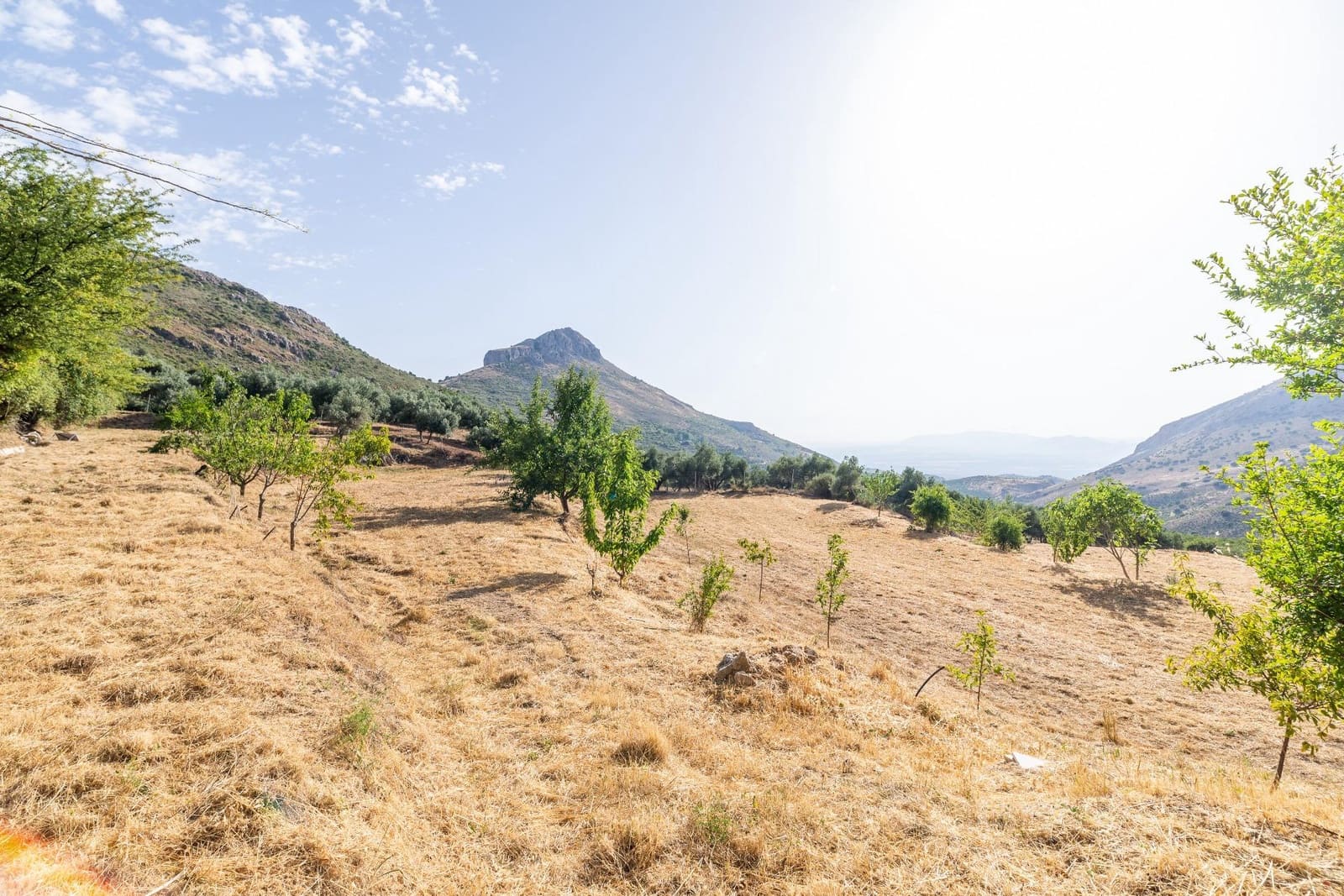 3 soveværelse Finca/Landehus til salg i Cogollos Vega - € 205.000 (Ref: 9161211)