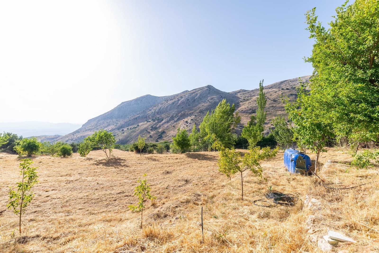 3 soveværelse Finca/Landehus til salg i Cogollos Vega - € 205.000 (Ref: 9161211)