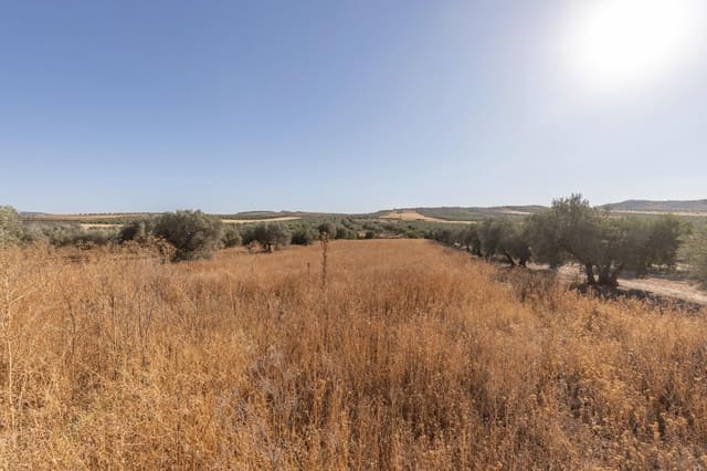 3 sypialnia Finka/Dom wiejski na sprzedaż w Chimeneas - 59 000 € (Ref: 9169709)