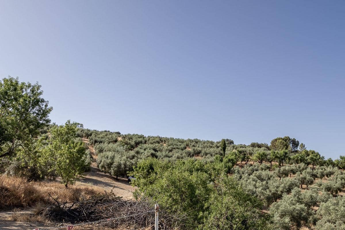 Grunde uden byggetilladelser til salg i Montefrio - € 240.000 (Ref: 9176593)