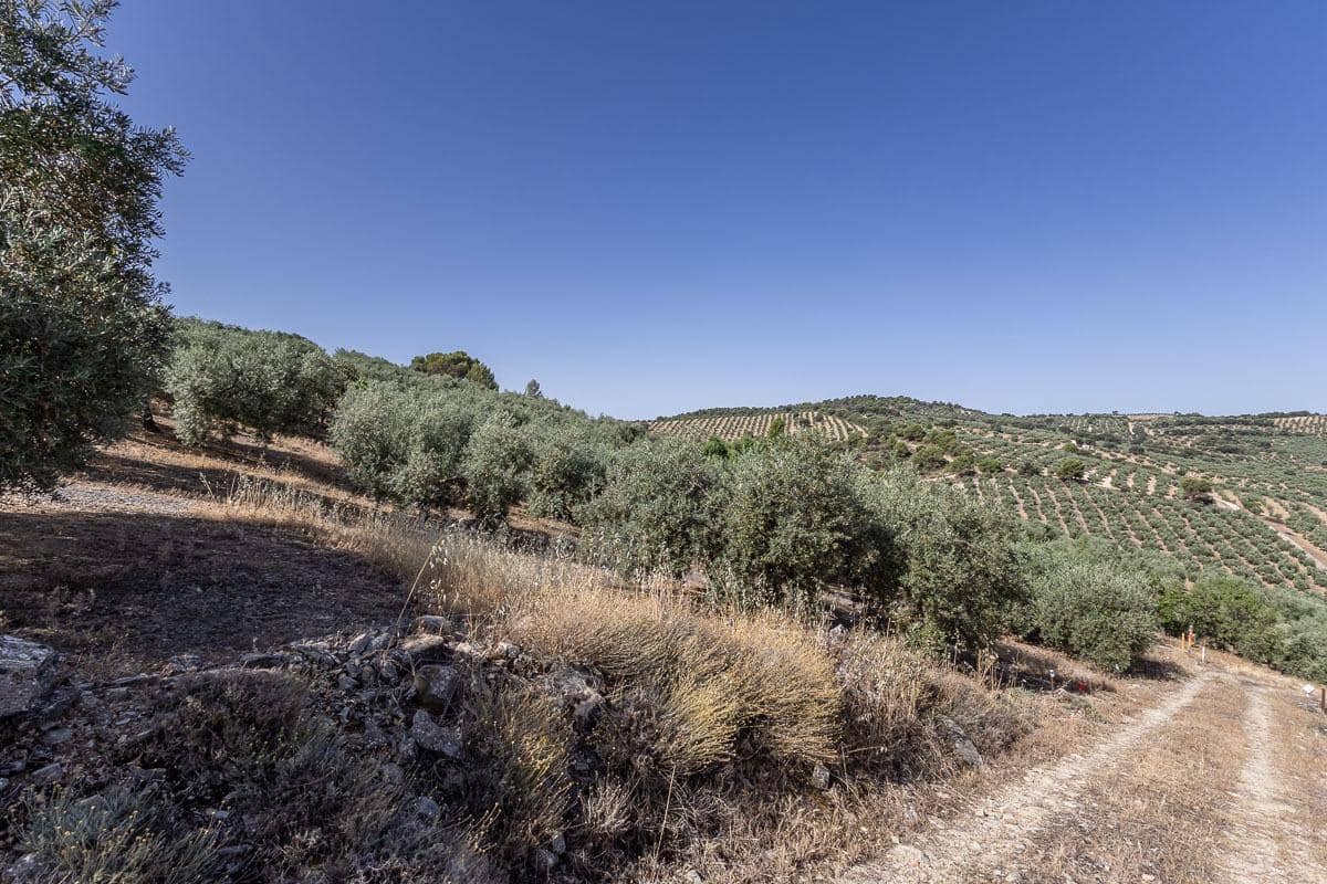 Grunde uden byggetilladelser til salg i Montefrio - € 240.000 (Ref: 9176593)