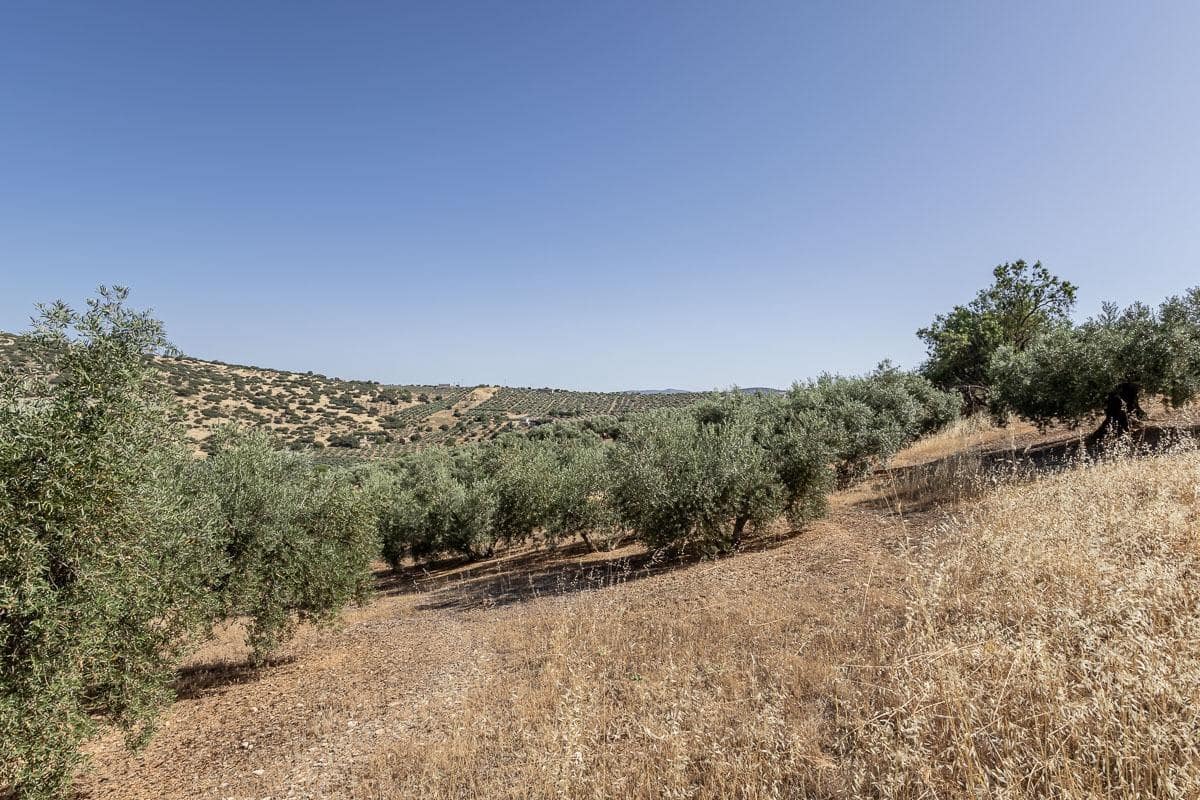 Grunde uden byggetilladelser til salg i Montefrio - € 240.000 (Ref: 9176593)