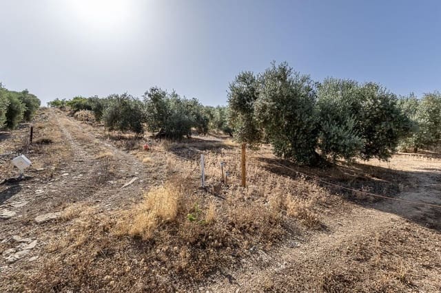 Grunde uden byggetilladelser til salg i Montefrío - € 240.000 (Ref: 9176593)