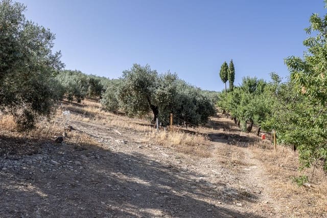 Grunde uden byggetilladelser til salg i Montefrío - € 240.000 (Ref: 9176593)