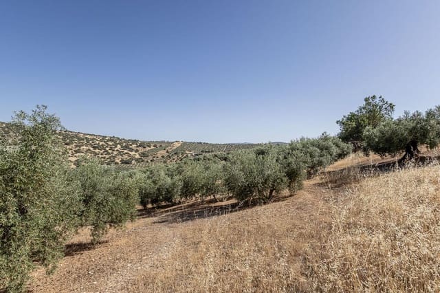 Grunde uden byggetilladelser til salg i Montefrío - € 240.000 (Ref: 9176593)