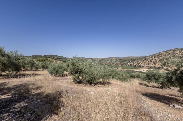 Grunde uden byggetilladelser til salg i Montefrío - € 240.000 (Ref: 9176593)