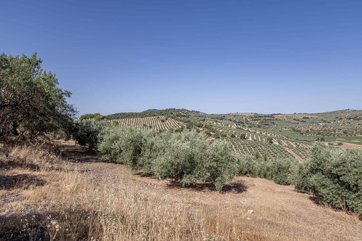 Grunde uden byggetilladelser til salg i Montefrio - € 240.000 (Ref: 9176593)