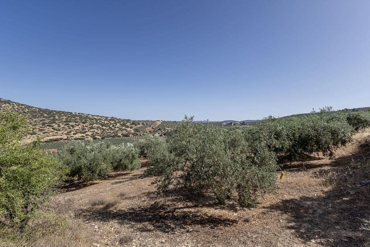 Grunde uden byggetilladelser til salg i Montefrio - € 240.000 (Ref: 9176593)